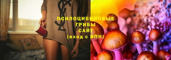 spice Абдулино