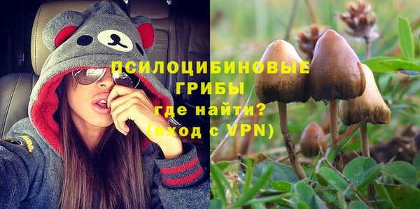 твердый Алексеевка