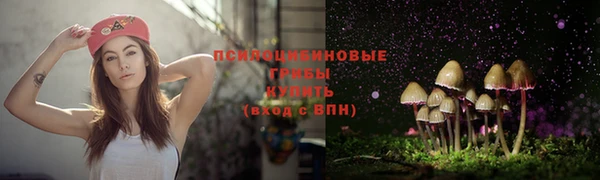 твердый Алексеевка