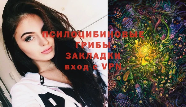 твердый Алексеевка
