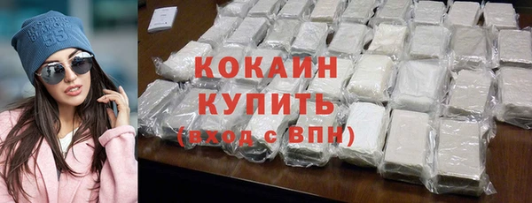 шишки Алексин