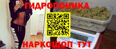 прущий лед Сланцы
