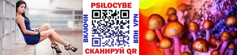 мориарти Telegram Оренбург Галлюциногенные грибы Psilocybe наркота